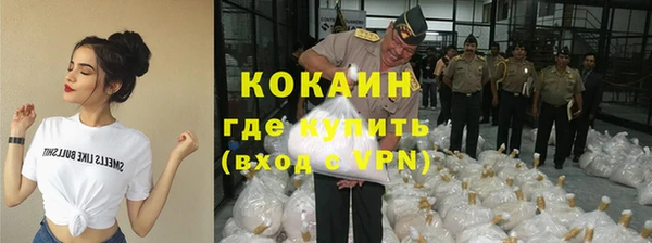 PSILOCYBIN Елабуга