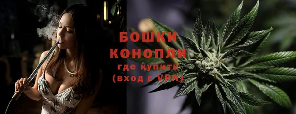 прущая мука Ельня