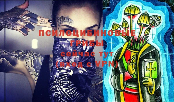 прущая мука Ельня