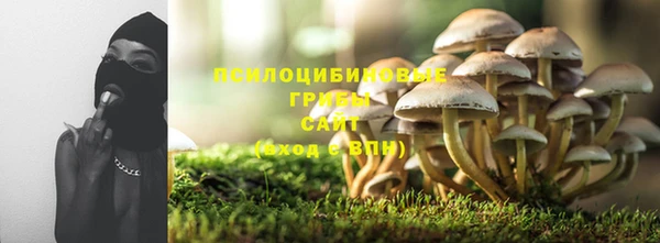 PSILOCYBIN Елабуга