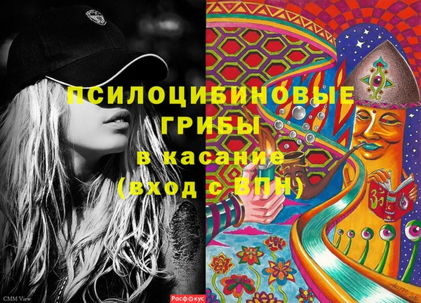 ECSTASY Елизово