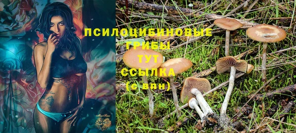 трава Вуктыл