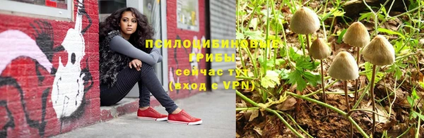 PSILOCYBIN Елабуга