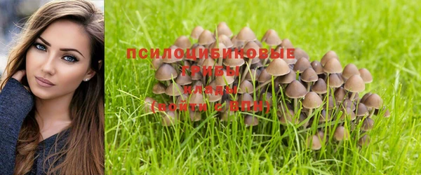 2c-b Пестово