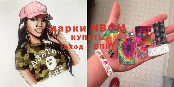 ECSTASY Елизово
