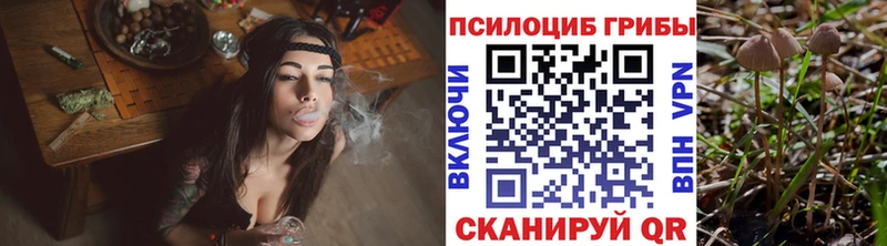 ссылка на мегу как зайти  Задонск  Галлюциногенные грибы Psilocybe 